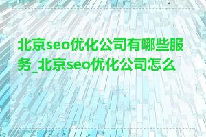 北京seo优化公司有哪些服务_北京seo优化公司怎么选