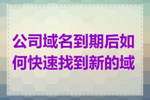 公司域名到期后如何快速找到新的域名