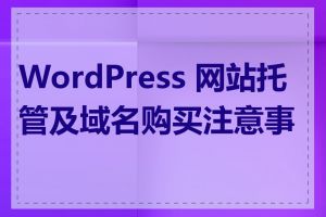 WordPress 网站托管及域名购买注意事项