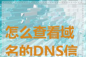 怎么查看域名的DNS信息