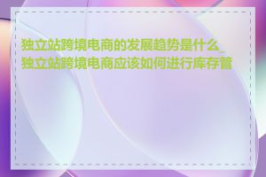 独立站跨境电商的发展趋势是什么_独立站跨境电商应该如何进行库存管理