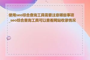 使用seo综合查询工具需要注意哪些事项_seo综合查询工具可以查看网站收录情况吗