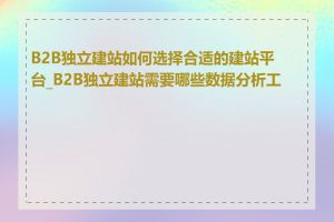 B2B独立建站如何选择合适的建站平台_B2B独立建站需要哪些数据分析工具
