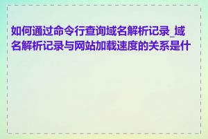 如何通过命令行查询域名解析记录_域名解析记录与网站加载速度的关系是什么