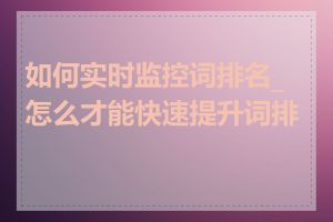 如何实时监控词排名_怎么才能快速提升词排名