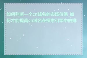 如何判断一个cn域名的市场价值_如何才能提高cn域名在搜索引擎中的排名