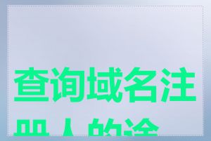 查询域名注册人的途径
