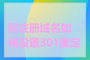 刚注册域名如何设置301重定向