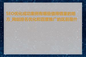 SEO优化成功案例有哪些值得借鉴的地方_网站排名优化和百度推广的区别是什么
