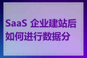 SaaS 企业建站后如何进行数据分析