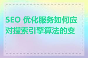 SEO 优化服务如何应对搜索引擎算法的变化