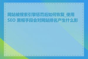 网站被搜索引擎惩罚后如何恢复_使用 SEO 黑帽手段会对网站排名产生什么影响