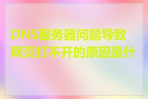 DNS服务器问题导致网页打不开的原因是什么