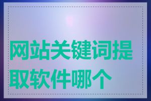 网站关键词提取软件哪个好