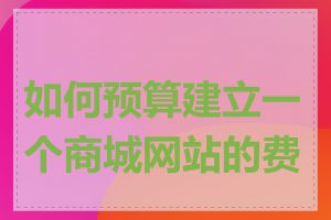 如何预算建立一个商城网站的费用