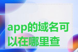 app的域名可以在哪里查到