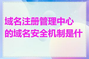 域名注册管理中心的域名安全机制是什么