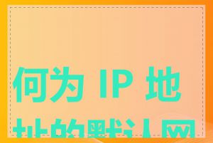 何为 IP 地址的默认网关