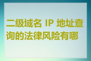 二级域名 IP 地址查询的法律风险有哪些