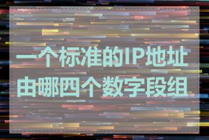一个标准的IP地址由哪四个数字段组成