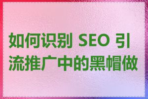 如何识别 SEO 引流推广中的黑帽做法
