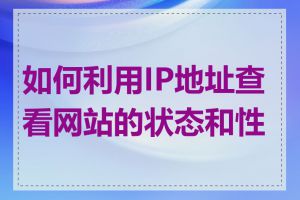 如何利用IP地址查看网站的状态和性能