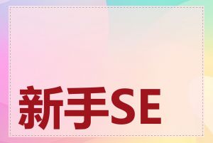 新手SEO优化步骤