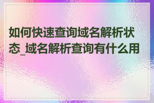 如何快速查询域名解析状态_域名解析查询有什么用途