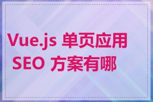 Vue.js 单页应用 SEO 方案有哪些