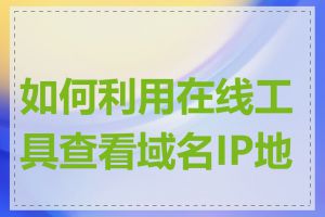 如何利用在线工具查看域名IP地址