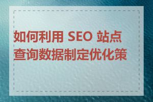 如何利用 SEO 站点查询数据制定优化策略