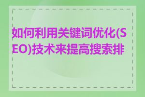 如何利用关键词优化(SEO)技术来提高搜索排名