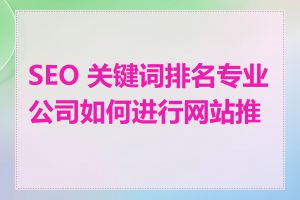 SEO 关键词排名专业公司如何进行网站推广
