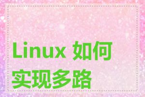Linux 如何实现多路由