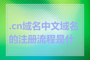 .cn域名中文域名的注册流程是什么