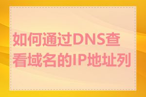 如何通过DNS查看域名的IP地址列表