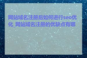 网站域名注册后如何进行seo优化_网站域名注册的优缺点有哪些