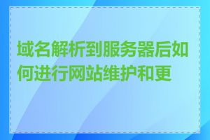 域名解析到服务器后如何进行网站维护和更新