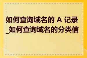 如何查询域名的 A 记录_如何查询域名的分类信息