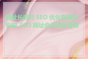 网址长度对 SEO 优化有哪些影响_SEO 网址命名规则有哪些