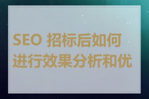 SEO 招标后如何进行效果分析和优化