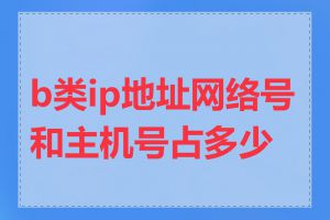 b类ip地址网络号和主机号占多少位