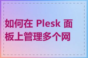 如何在 Plesk 面板上管理多个网站