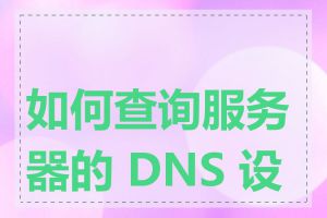 如何查询服务器的 DNS 设置