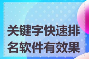 关键字快速排名软件有效果吗