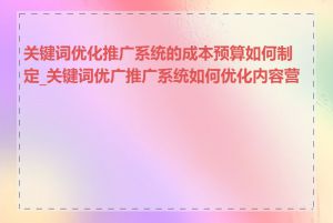 关键词优化推广系统的成本预算如何制定_关键词优广推广系统如何优化内容营销
