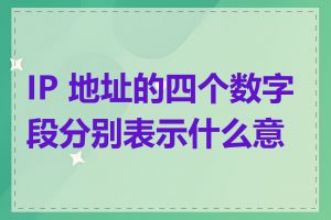 IP 地址的四个数字段分别表示什么意义