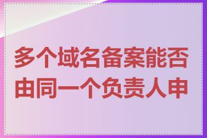 多个域名备案能否由同一个负责人申请
