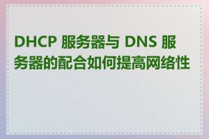 DHCP 服务器与 DNS 服务器的配合如何提高网络性能