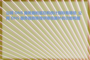 公网 DNS 服务器的监控和统计指标有哪些_公网 DNS 服务器能够提供哪些额外的功能和服务